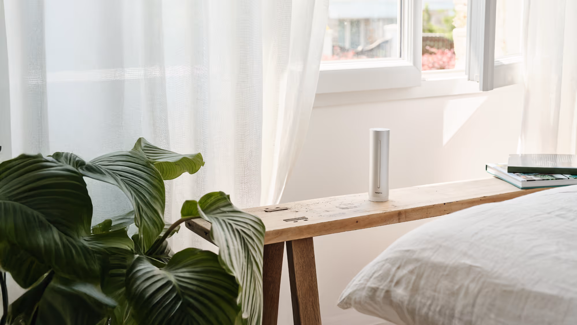 Improve the air quality of your home interior.