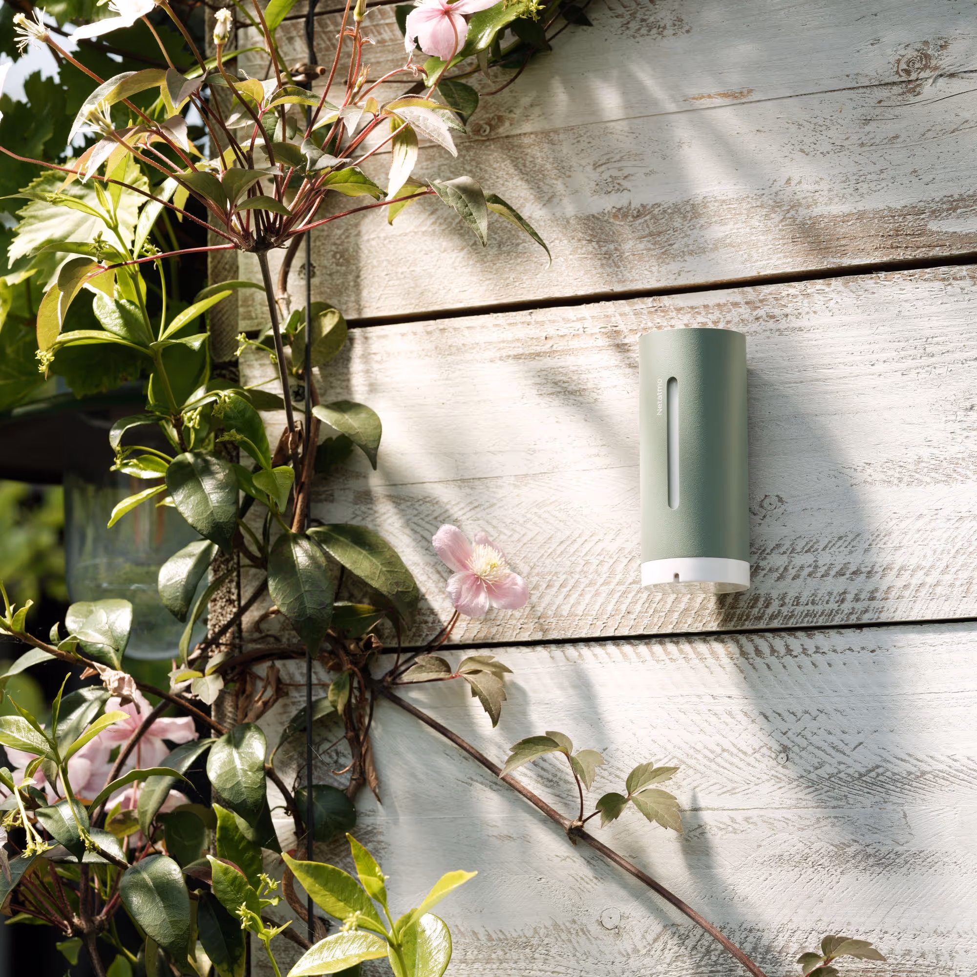 Behalten Sie Ihre Umgebung im Blick, vom Wohnzimmer bis zum Garten.