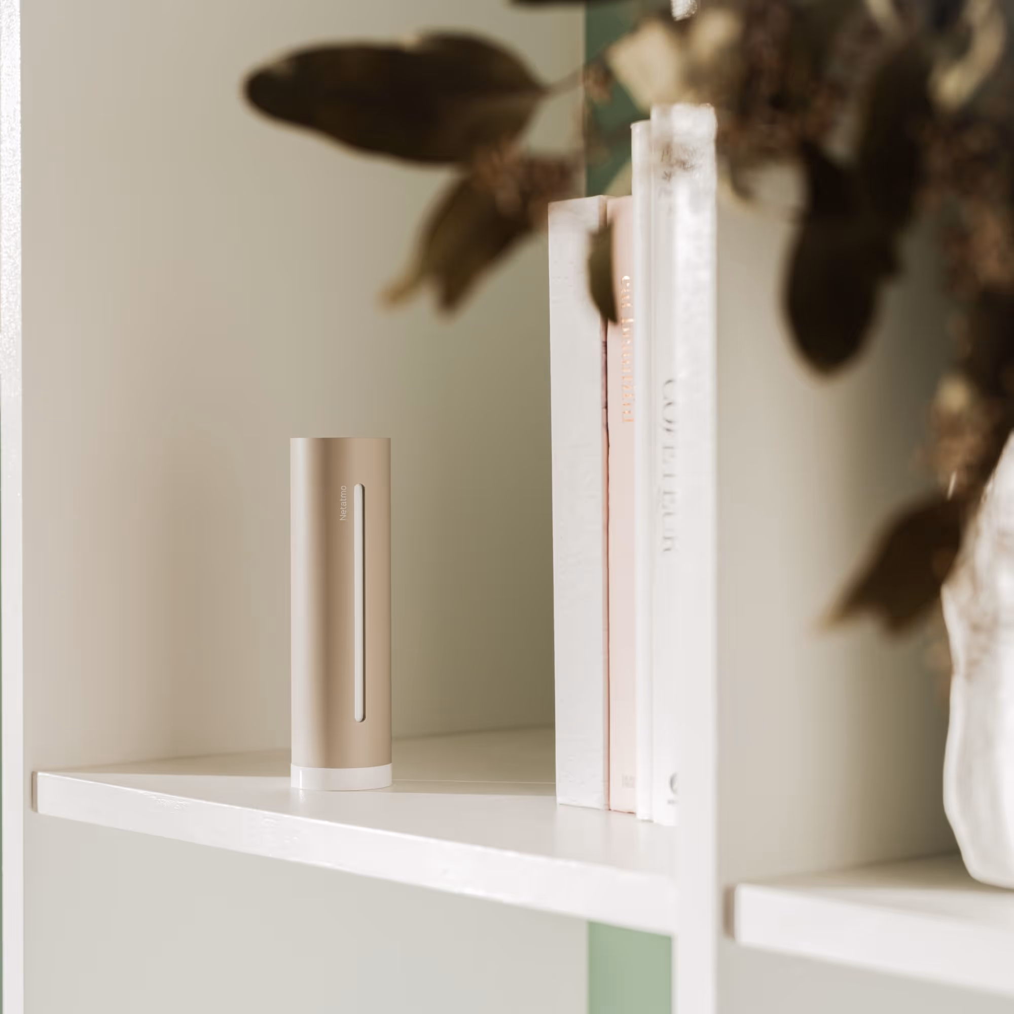 Få tilgang til en detaljert historikk og analyser hver utvikling.