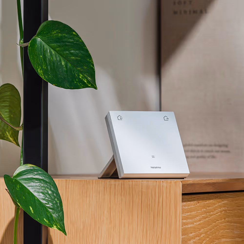 Rimanete padroni della vostra attività grazie a un monitoraggio completo e personalizzato.