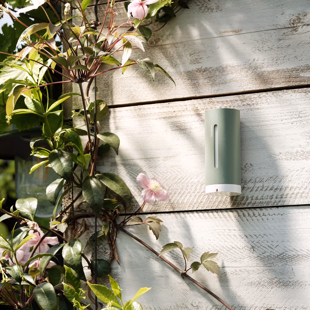 Gardez un œil sur votre environnement, du salon au jardin.